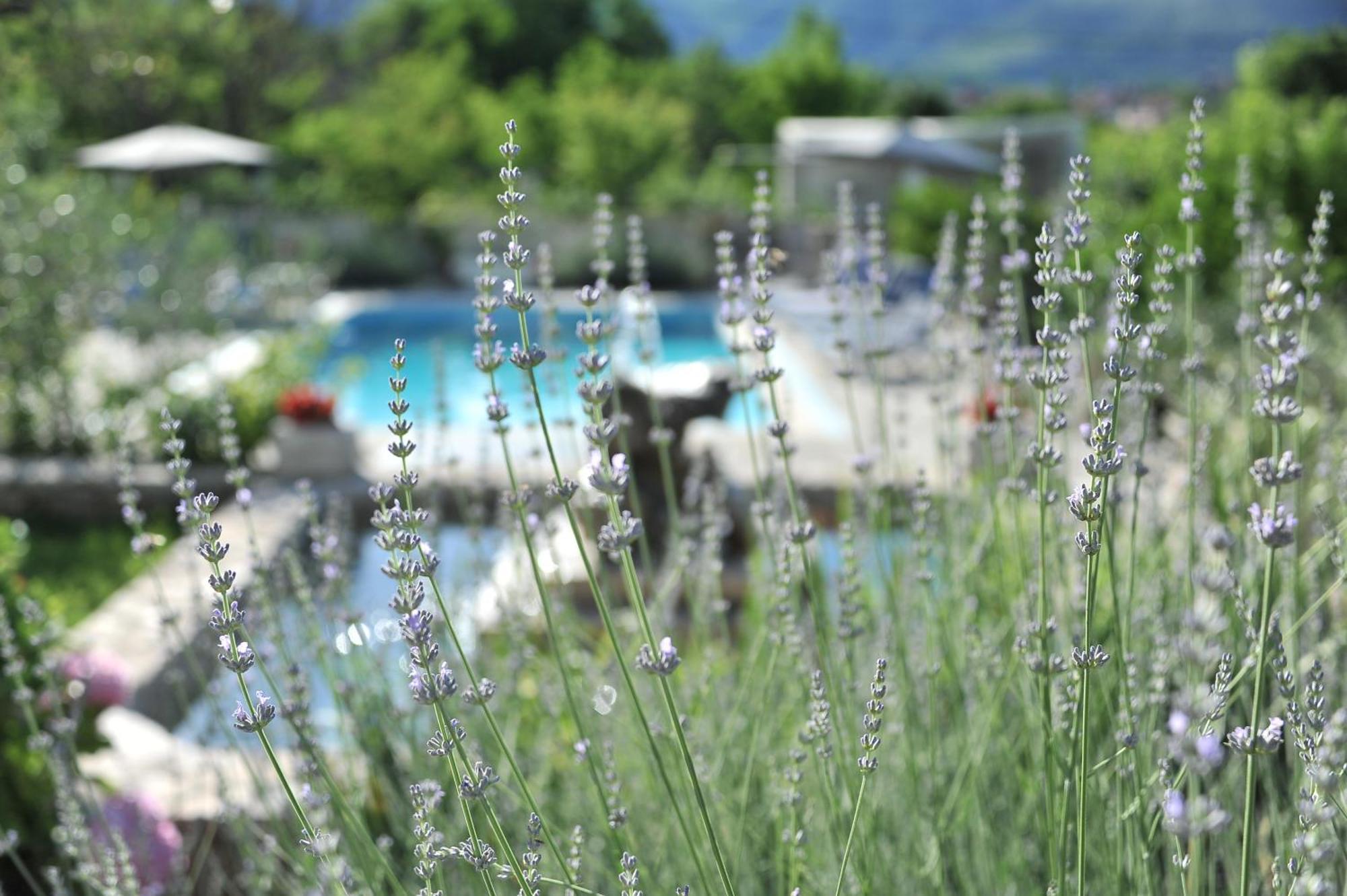 Pool House Maslina Διαμέρισμα Μόσταρ Εξωτερικό φωτογραφία
